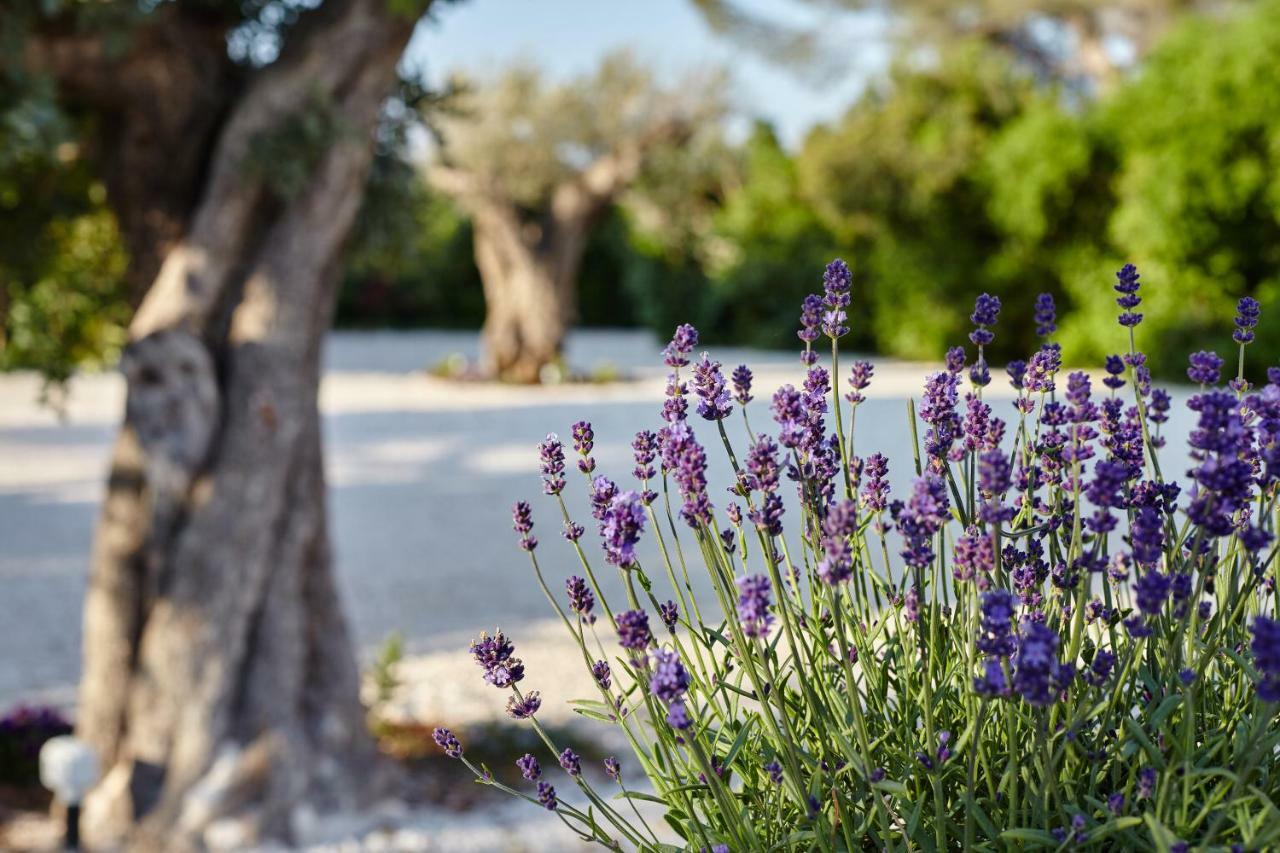 Agapanto Masseria Conversano Exterior foto